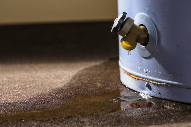  Blaine, WA Water damage restoration Pros