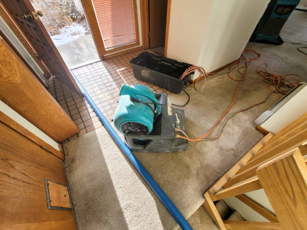 Best Basement water damage restoration  in Blaine, WA