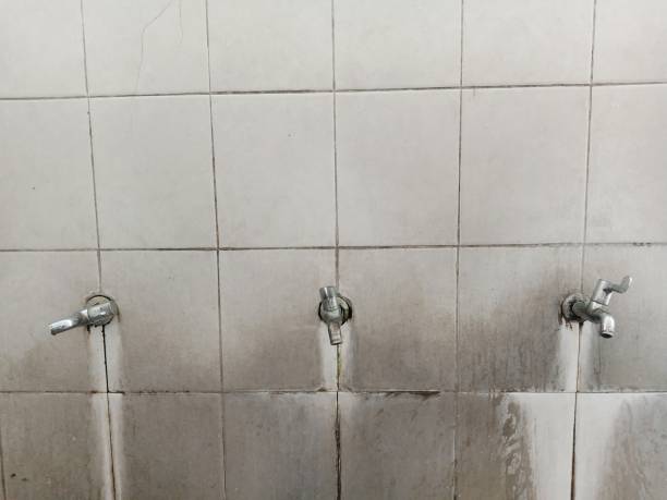 Best Flood restoration services  in Blaine, WA