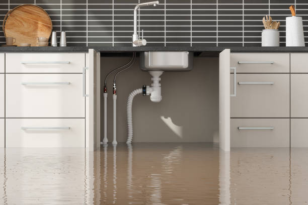 Best Ceiling water damage repair  in Blaine, WA