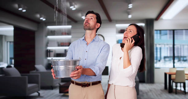 Best 24/7 water damage repair  in Blaine, WA