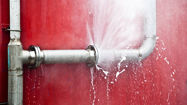 Best Water damage restoration near me  in Blaine, WA
